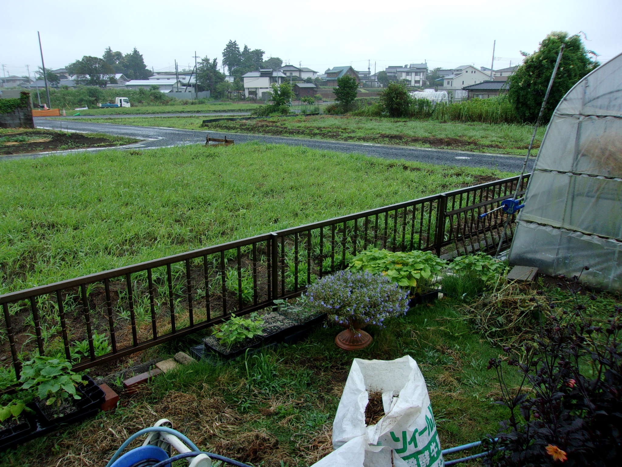 雨　220713